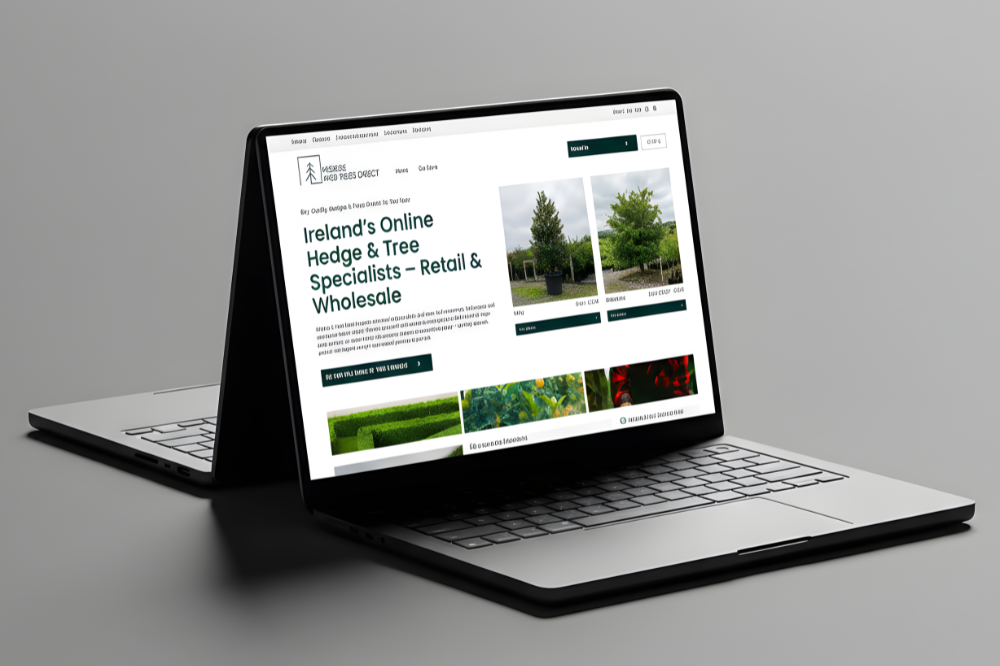 Kildare web design project example